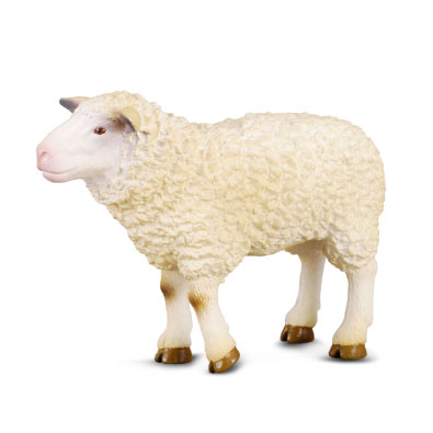 羊 - farm-life