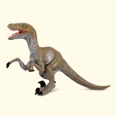 速龙 - age-of-dinosaurs-popular-sizes