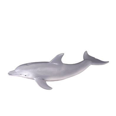 Bottlenose Dolphin - oceans
