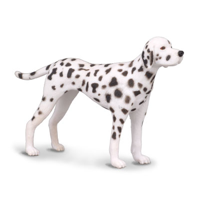 Dalmatian - cats-and-dogs