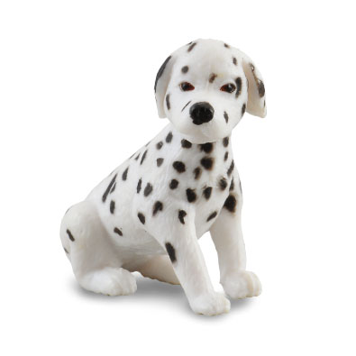 Dalmatian Puppy  - cats-and-dogs