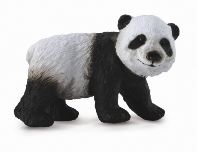 小熊猫 - 站 - asia-and-australasia