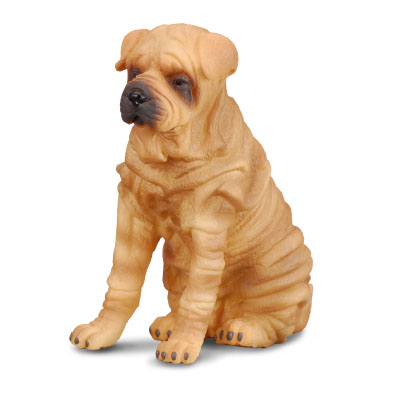 Shar Pei - cats-and-dogs