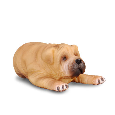 Shar Pei Puppy - cats-and-dogs