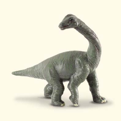 Cría de Brachiosaurus - age-of-dinosaurs-popular-sizes