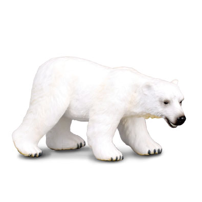 Polar Bear  - polar-regions