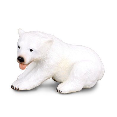 Cachorro Oso Polar - Sentado - polar-regions