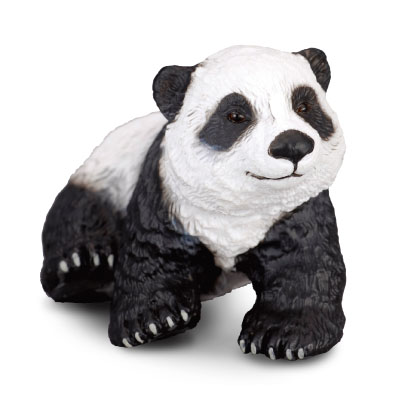 Giant Panda Cub - Sitting - asia-and-australasia