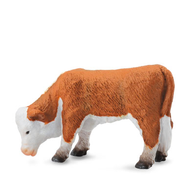 Hereford Calf (Grazing) - farm-life