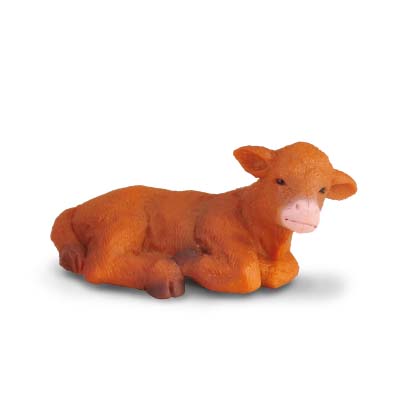 Highland Calf (Lying Down) - farm-life
