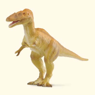 Alioramus - age-of-dinosaurs-popular-sizes