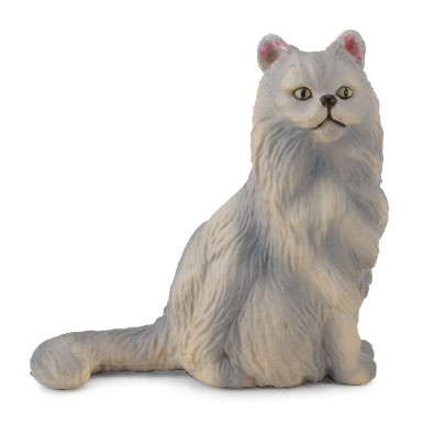 Persian Cat - Sitting  - cats-and-dogs