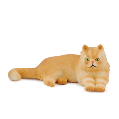 Persian Cat - Lying - cats-and-dogs