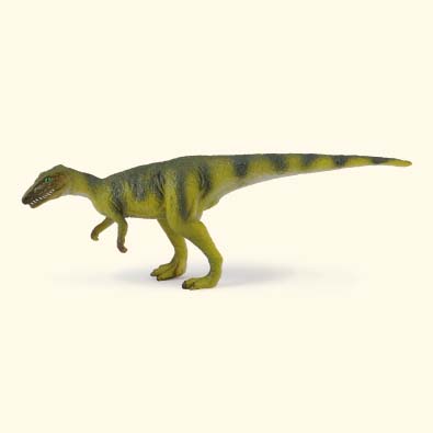 黑瑞拉龙 - age-of-dinosaurs-popular-sizes