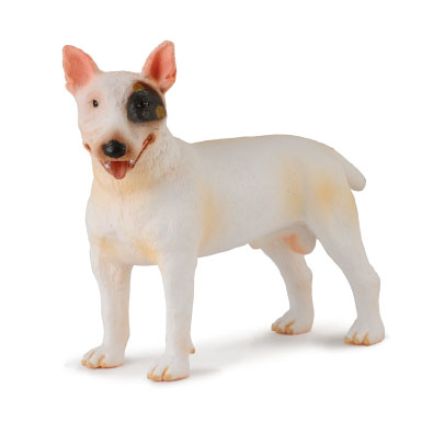 Bull Terrier - Male - cats-and-dogs