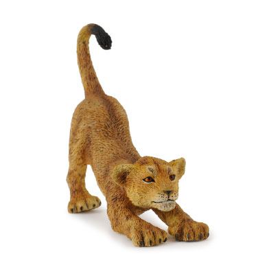 Lion Cub - Stretching - africa