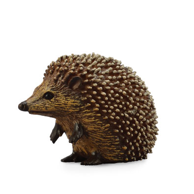 Hedgehog - europe