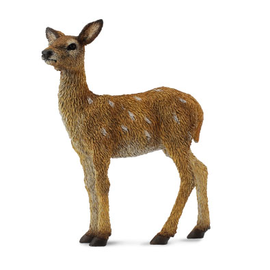 Red Deer Calf - europe