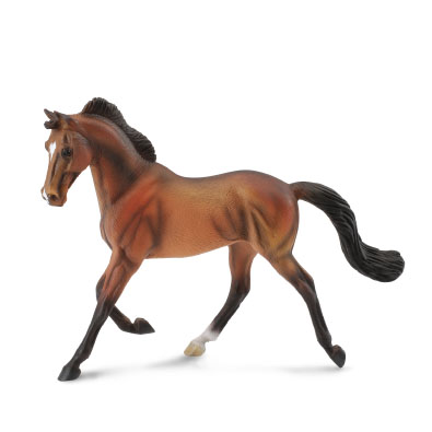 Thoroughbred Mare Bay - horses-1-20-scale