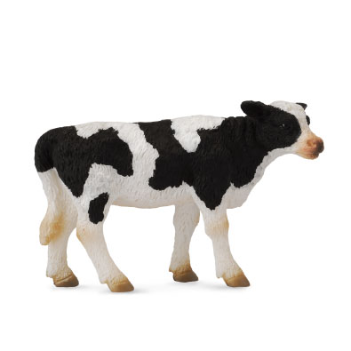 Friesian Calf - Standing - farm-life