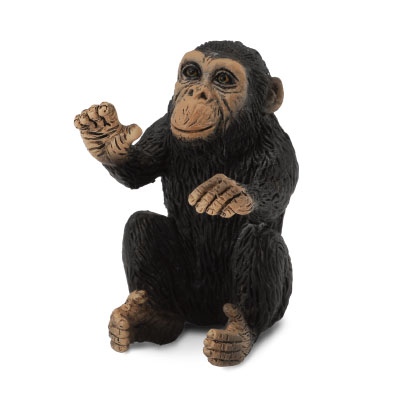 Chimpanzee Cub - Hugging - 88494