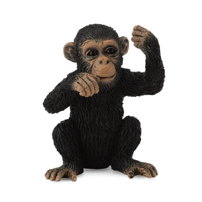 Chimpanzee Cub - Thinking - africa