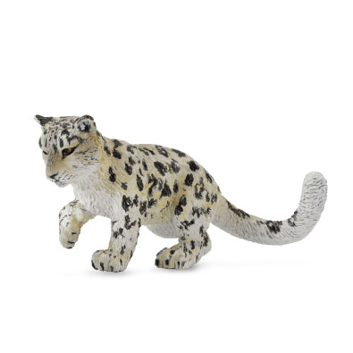 Snow Leopard Cub - Playing - 88497