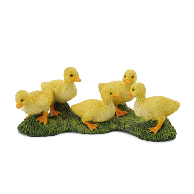 Ducklings - farm-life