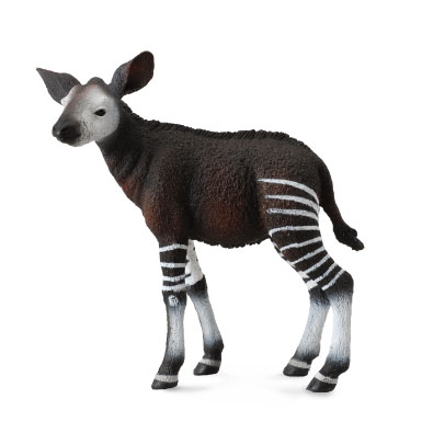 Cría de Okapi - africa