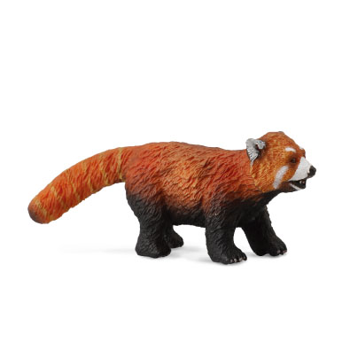 Red Panda - asia-and-australasia