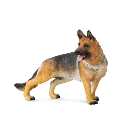 German Shepherd   - cats-and-dogs