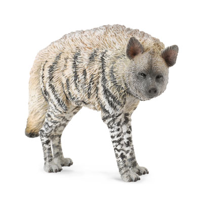 条纹鬣狗 - africa