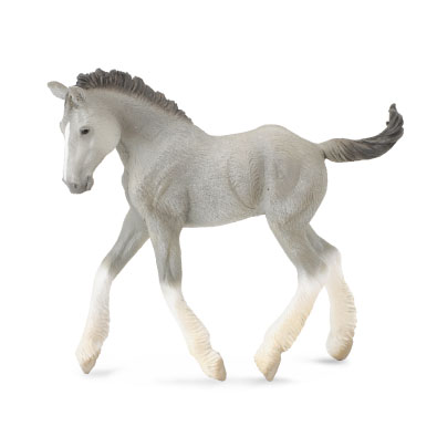 Shire Horse foal - Grey - horses-1-20-scale