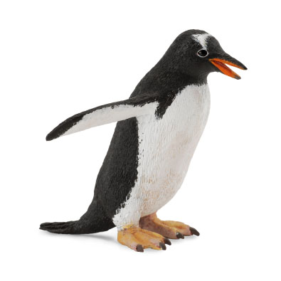 Pingüino Papua - polar-regions