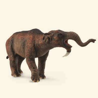 恐象 1:20 - other-prehistoric-animals