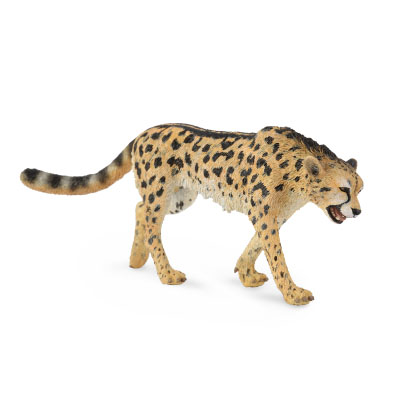 King Cheetah - africa