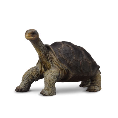 Pinta Island Tortoise (Lonesome George) - 88619