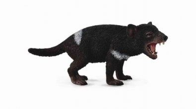 Tasmanian Devil - asia-and-australasia