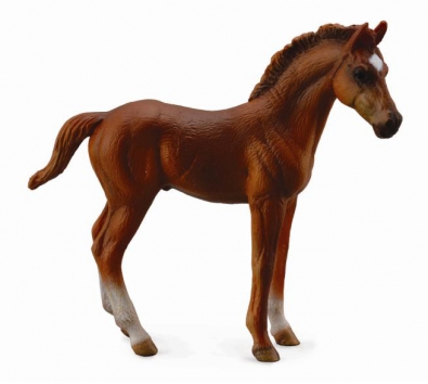 Thoroughbred foal Standing - Chestnut - horses-1-20-scale