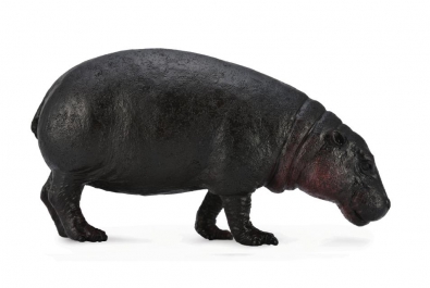 Pygmy Hippopotamus - africa