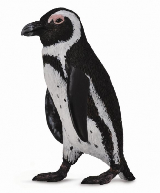 黑脚企鹅 - oceans