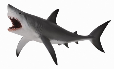 Tiburón Blanco con la boca abierta - 88729