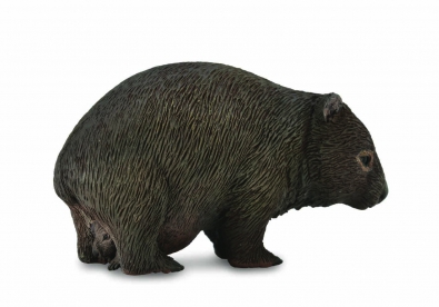 袋熊 - asia-and-australasia