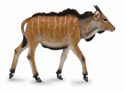 Antilope Eland Gigante - africa