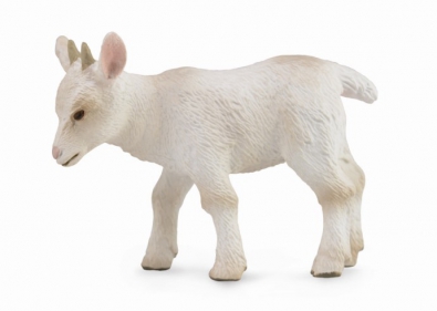 Goat Kid - Walking - farm-life