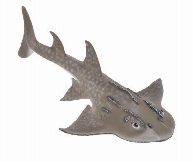 Shark Ray (Bowmouth Guitarfish ) - oceans