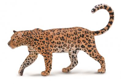African Leopard  - africa