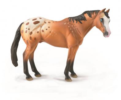 Light Brown Appaloosa Stallion - 88933