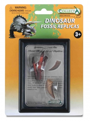 Hand Claw & Hand Replica of Tyrannosaurus Rex Box Set - 89289