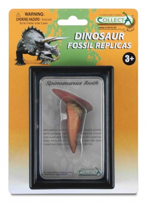 Diente de Spinosaurus - box-sets